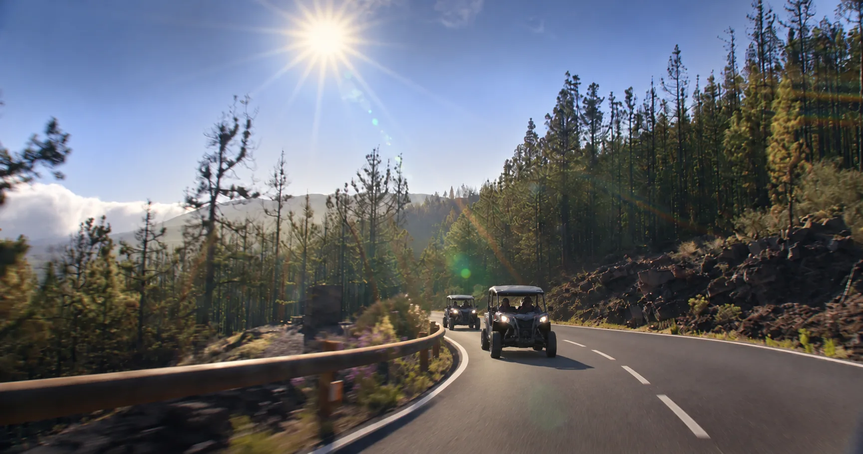 Buggies driving along a forest road with the sun ahead